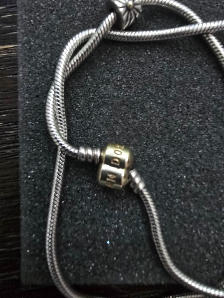 Original Pandora Necklace With Cute Charm